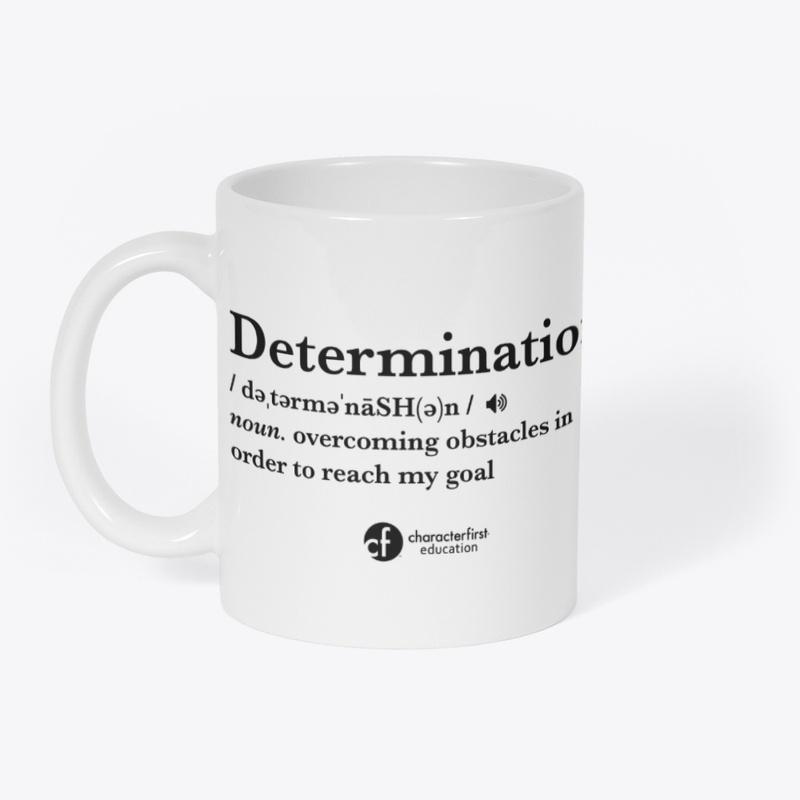 Determination Definition