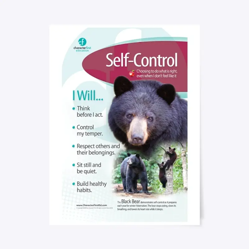 Self-Control Anchor Chart