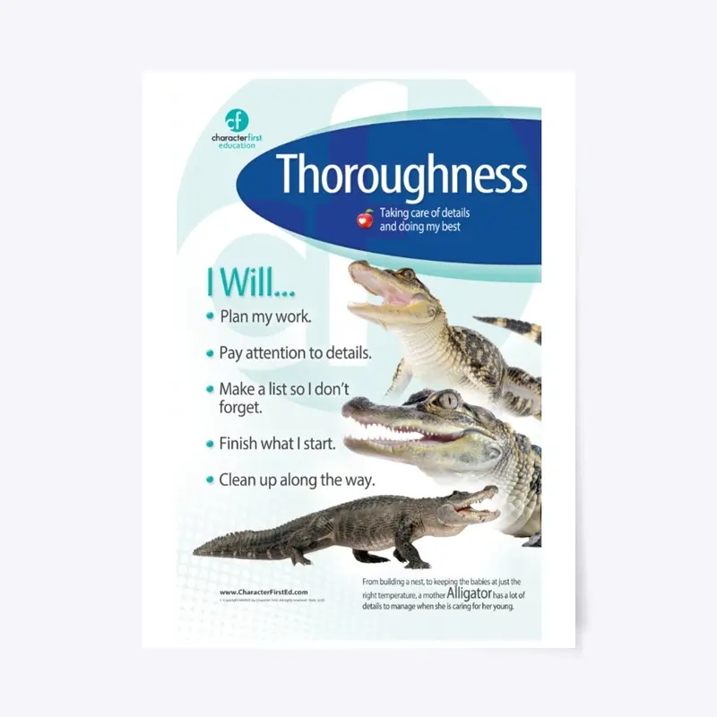 Thoroughness Anchor Chart