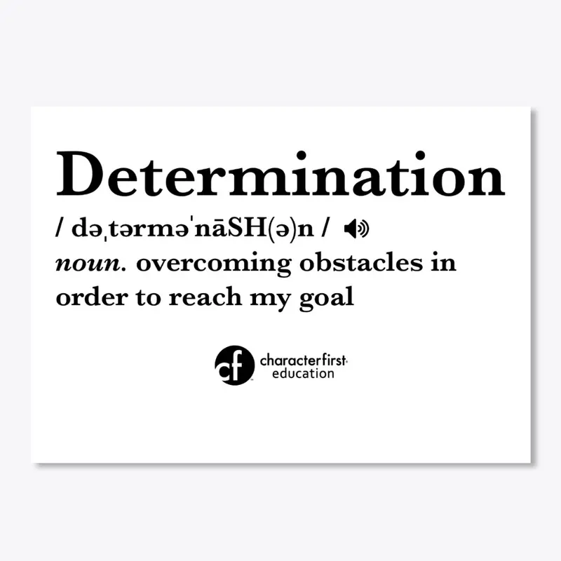 Determination Definition