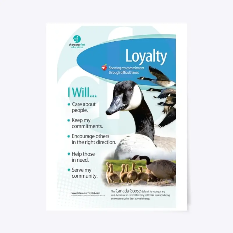 Loyalty Anchor Chart