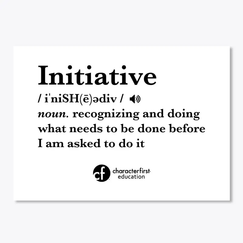 Initiative Definition